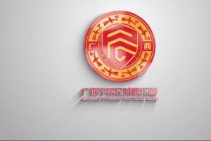 比赛预告｜中甲第19轮广西平果国晶vs深圳青年人